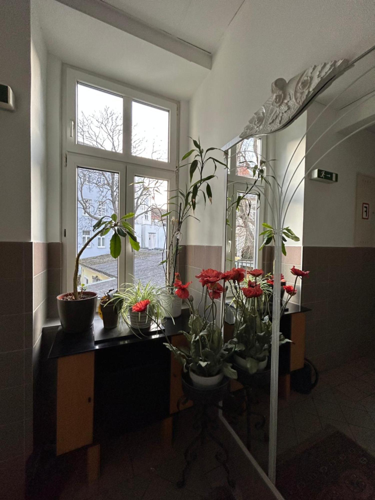 Reiner Apartment 维也纳 外观 照片